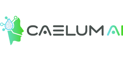 Caelum AI Financial Document Extraction logo
