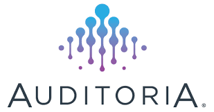 Auditoria Agents for Corporate Finance logo