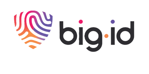 BigID Next logo