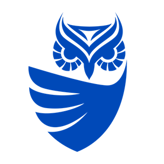 Infrastructure Penetration Testing logo