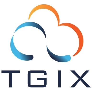 Tgix + Celeredge: Cybersecurity Posture Assessment & Advisory logo