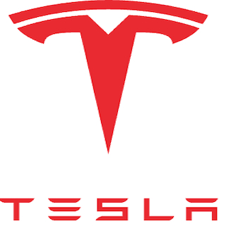 MCP for Tesla Fleet API logo