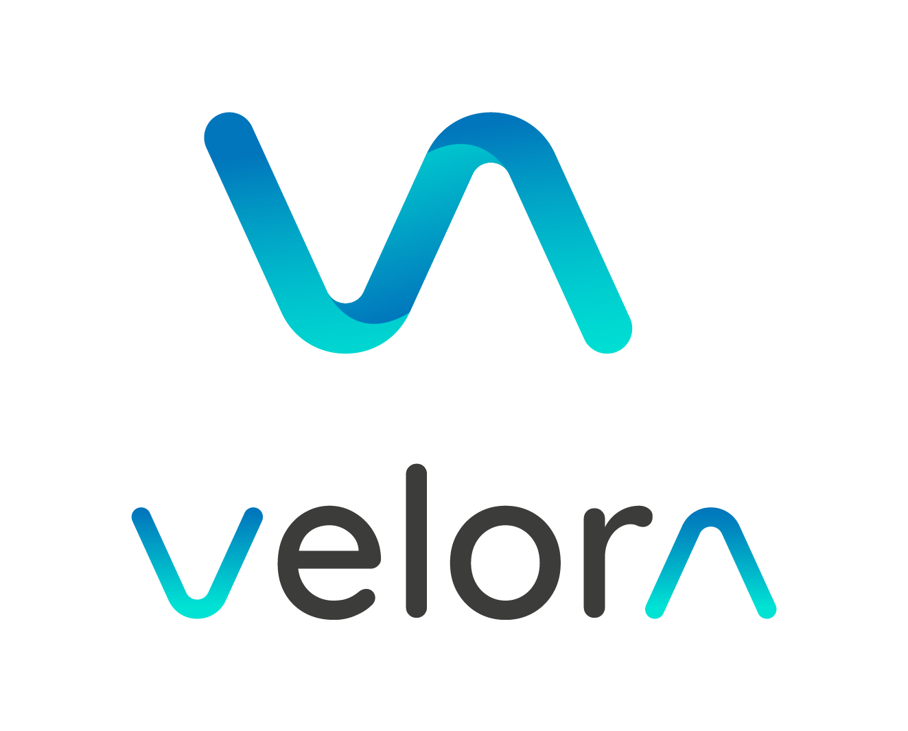 Velora HR - Velora Assessment AI-Powered Recruitment Suite logo