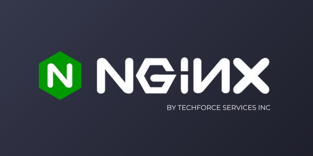 Ubuntu 24.04 with Nginx 1.28.1 logo