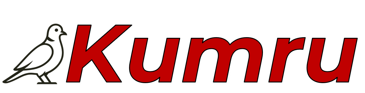 Kumru LLM API logo