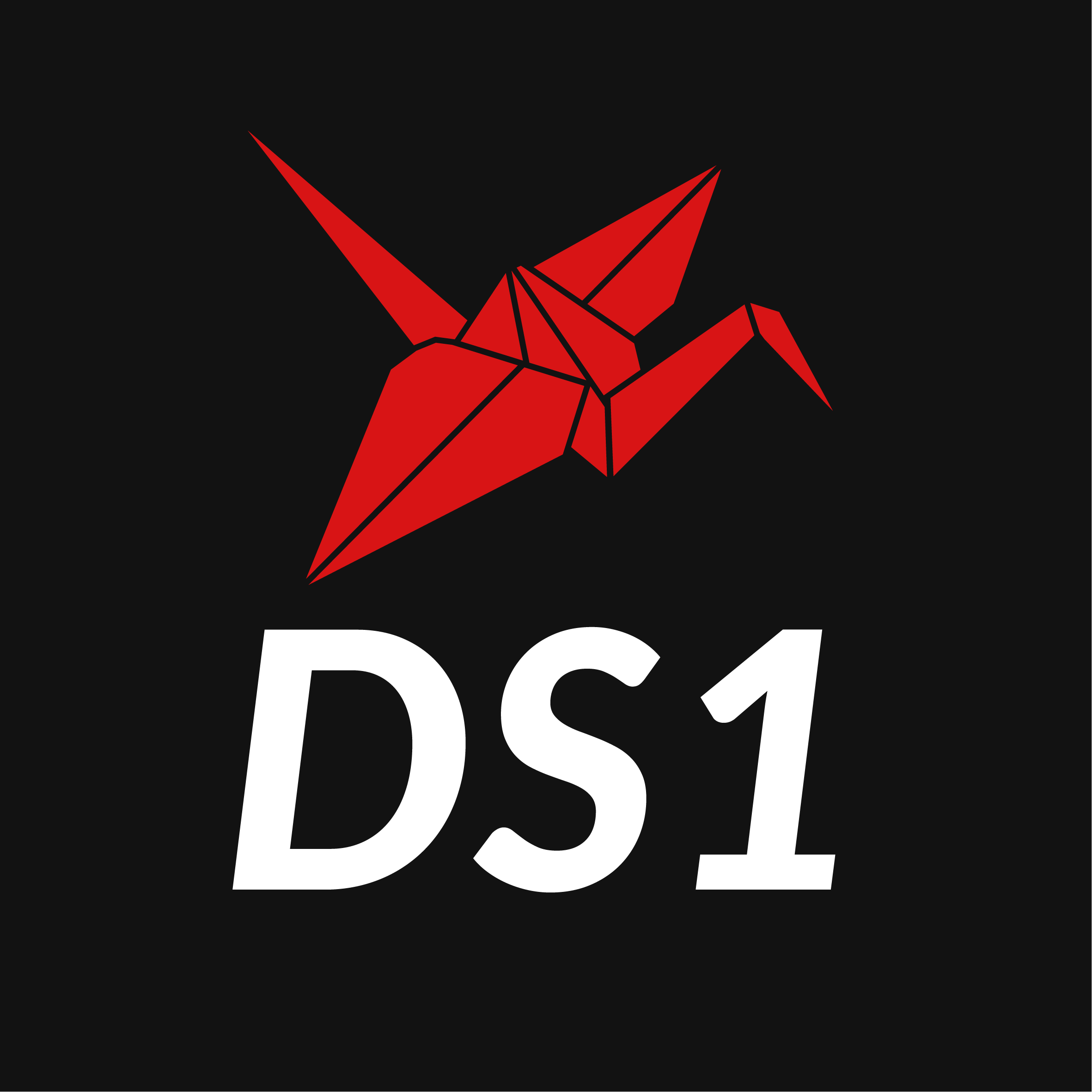 DS1 Embedding Model - Code logo