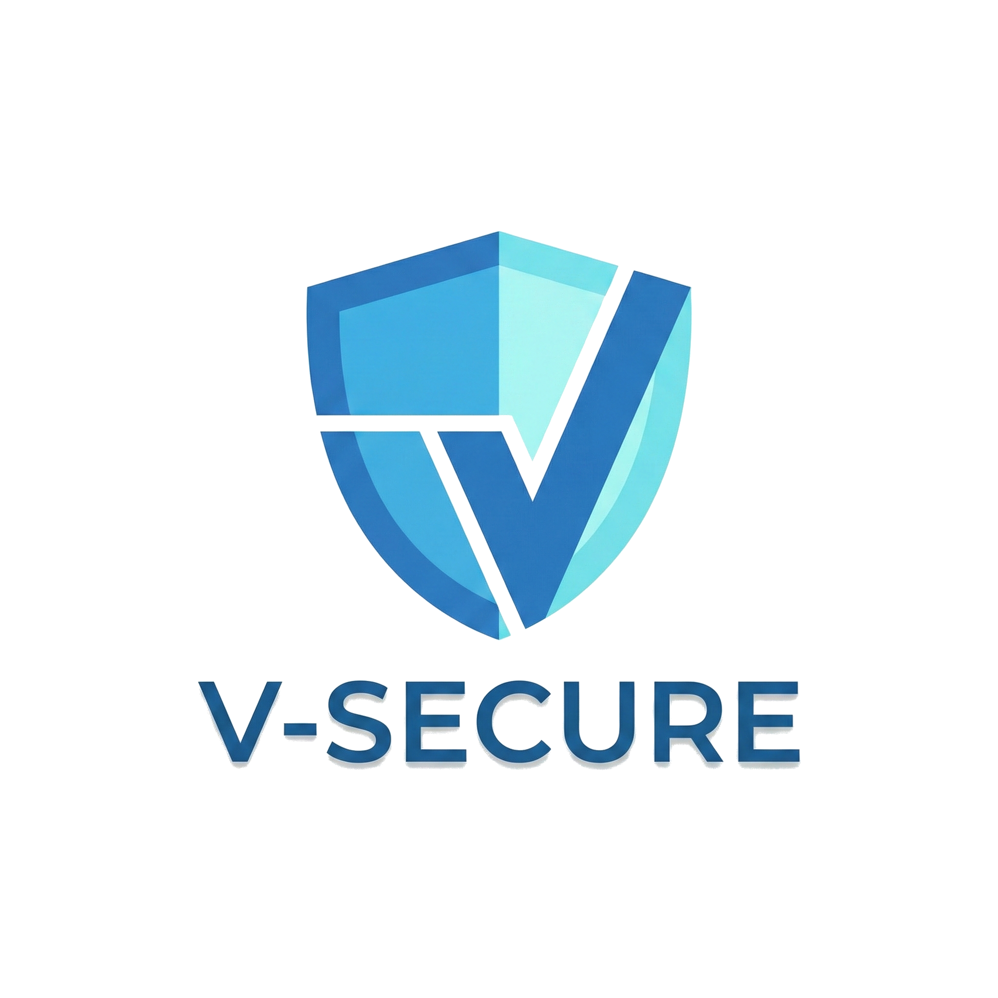 Professional Penetration Testing & Security Assessment logo