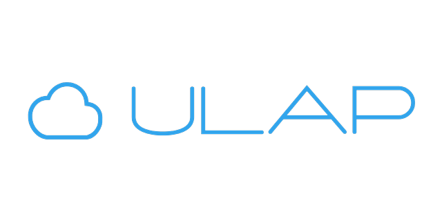 Ulap Cyber Security Services logo