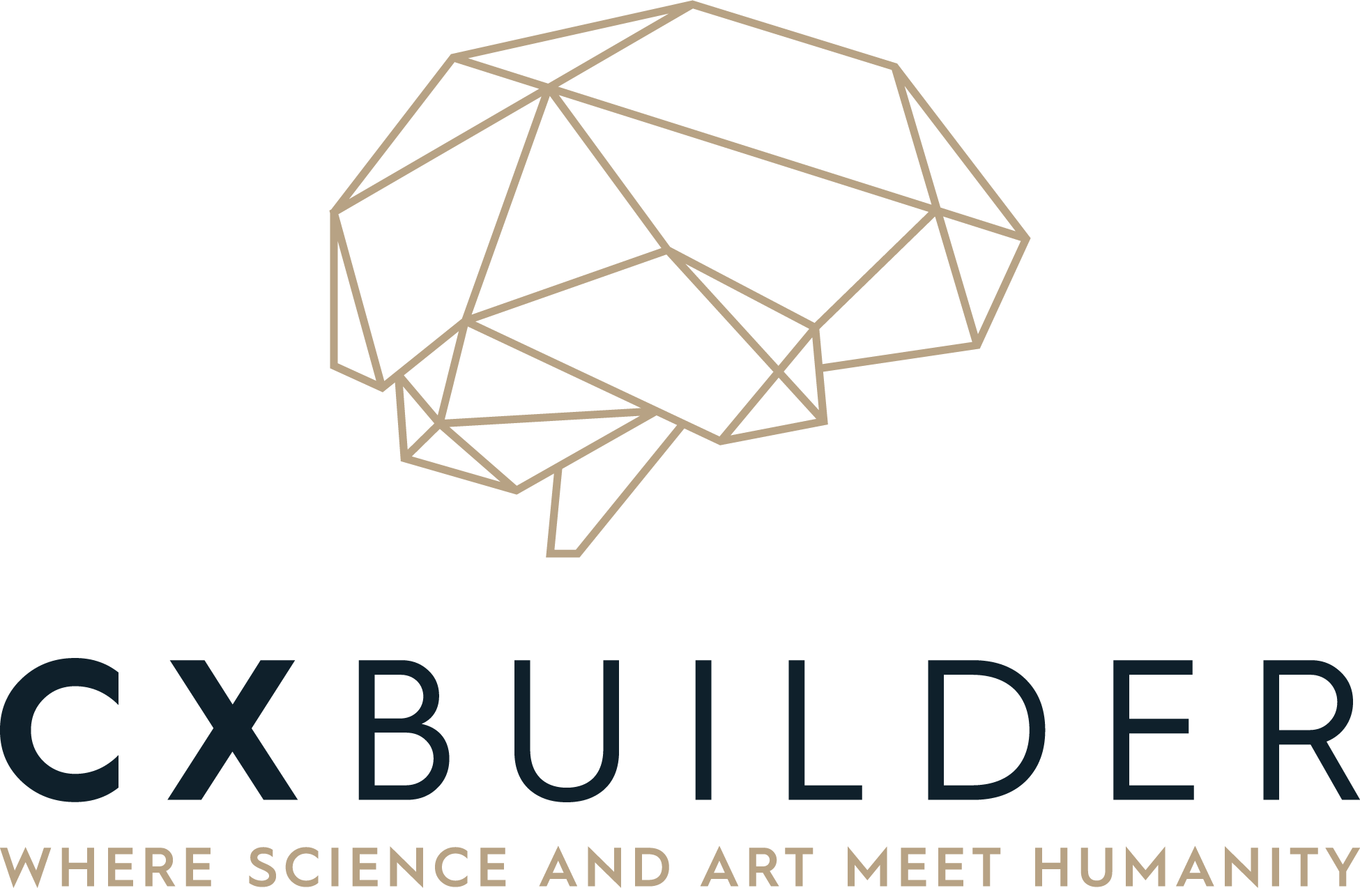 CXBuild logo