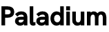 Paladium – Computer Vision Surveillance & Intelligence for Public Safety logo