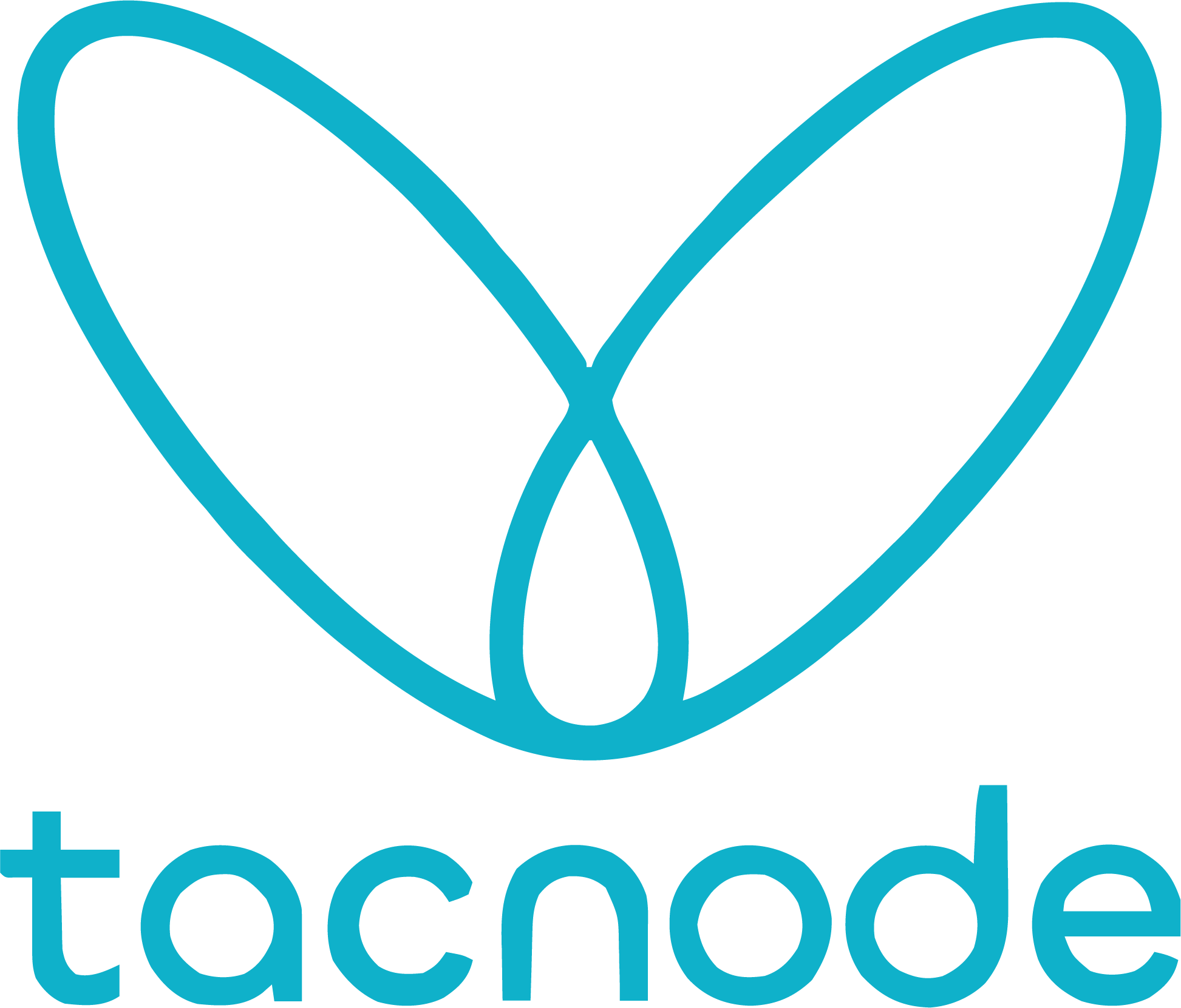 Tacnode Managed logo