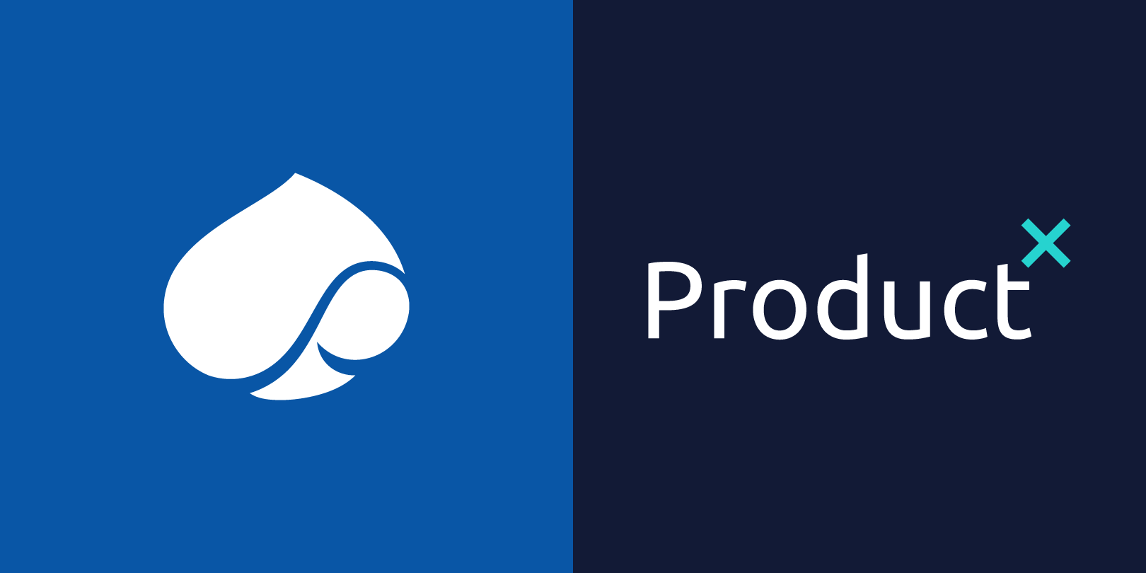 RAISE for Product X – An Agentic service for Software Development logo