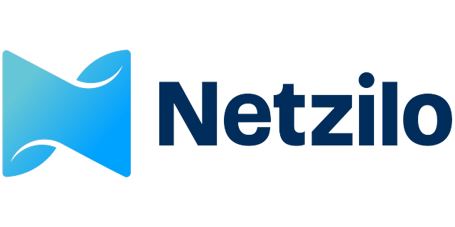 Netzilo logo