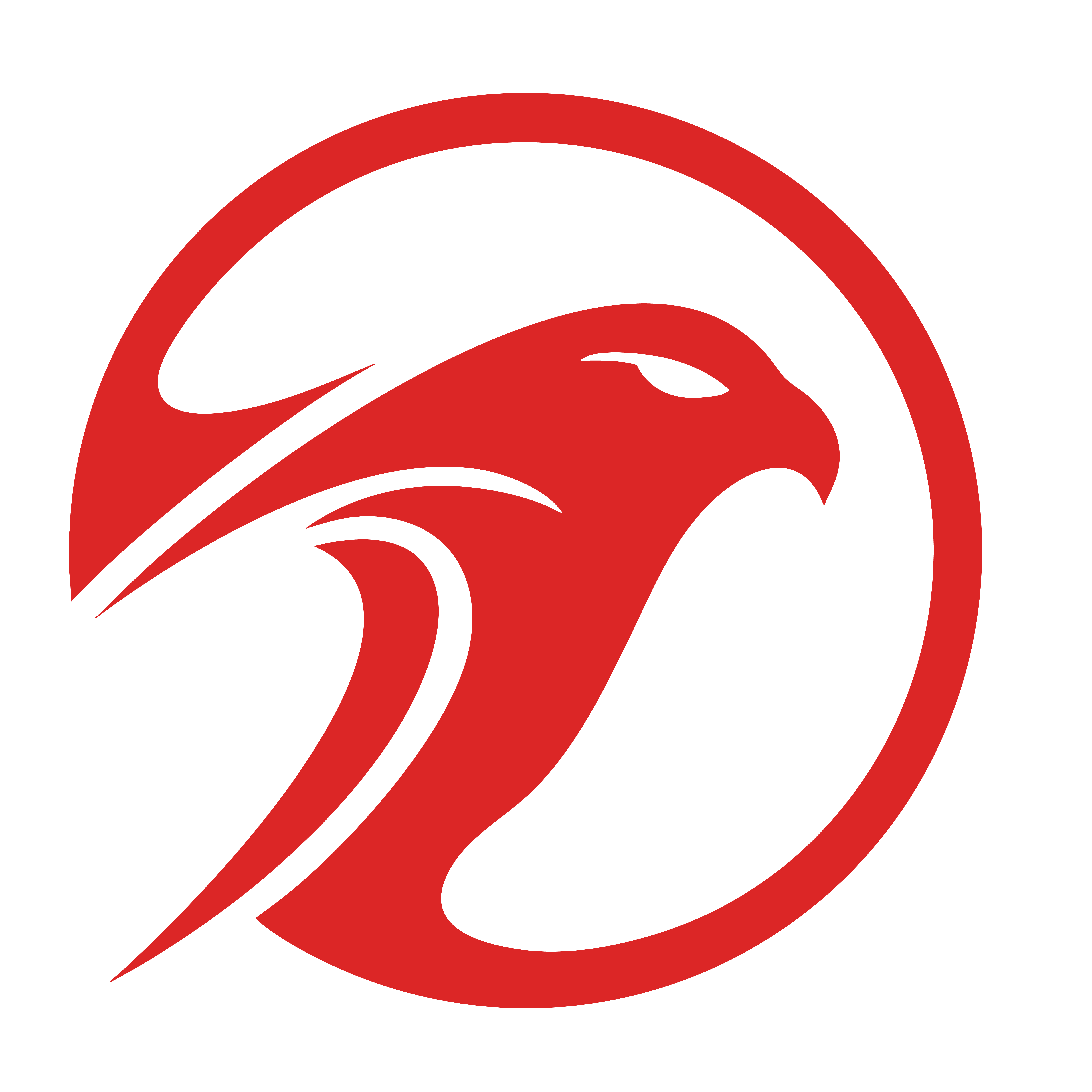 Safe by Falcons.AI logo