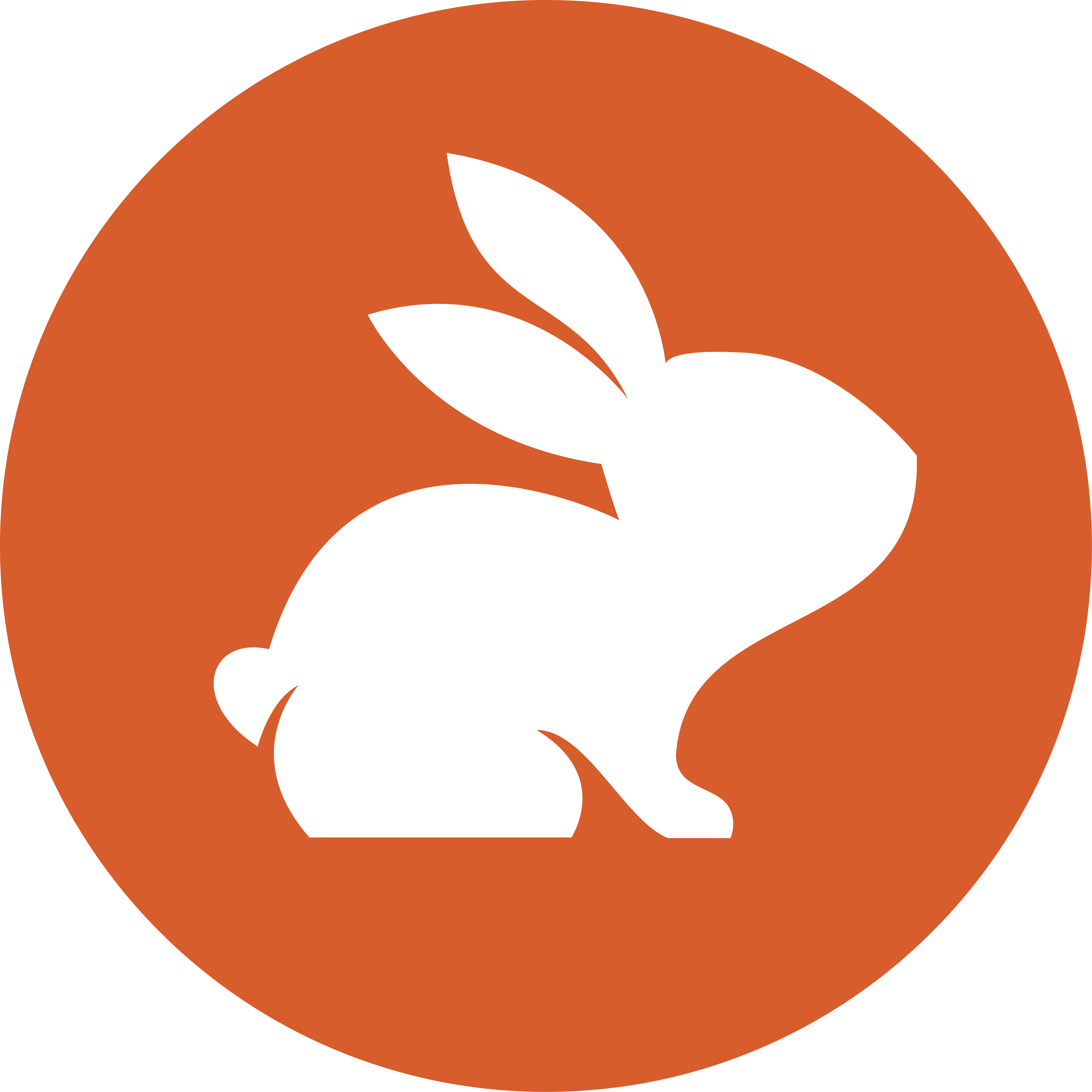 CodeRabbit - Self-Hosted AI Code Reviews logo