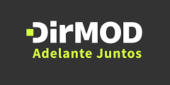 DirMOD Professional Services logo