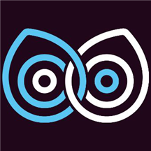 Wisdom Bridge AI logo