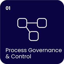 Process Governance & Controls logo