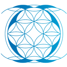Maximum Group Digital - Spatial Analytics logo