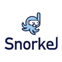 Snorkel Flow logo