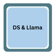 DeepSeek & Llama logo