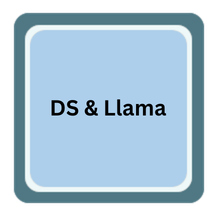 DeepSeek and Llama logo
