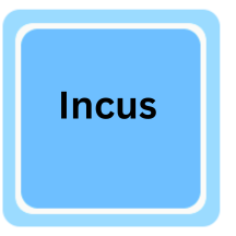 Incus on Ubuntu 26.04 logo
