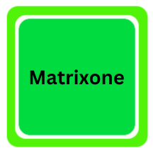 MatrixOne logo