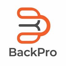 BackPro AI Platform logo