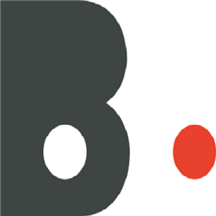 Blindspot Optiplan logo