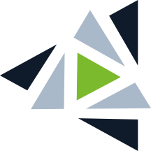 Digital Voice Assistant logo