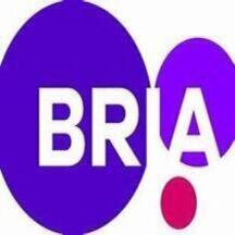 BRIA AI Platform logo