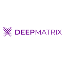 FLY Deepmatrix logo