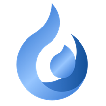 Fire.Diagu.Com - Ai, Api, HL7, FHIR, ICD, SNOMED logo