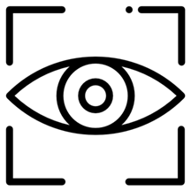 Cerebra Vision Intelligence logo