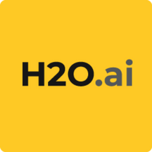 H2O AI Cloud Platform logo