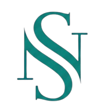 StudioNexa logo