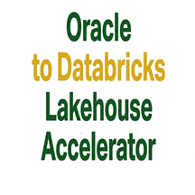 Pulse Convert Oracle to Databricks Lakehouse Accelerator logo