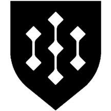 Security Compliance Automated with AI | compliance.sh logo