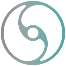 Storm Parse logo