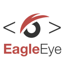 SSW EagleEye logo