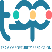 TOP Solution logo