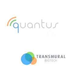 quantusGL logo