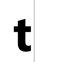 Turing Computer Vision logo