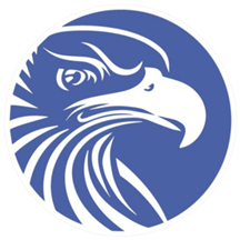 Eagle Audit logo