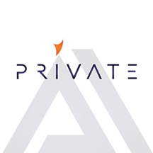 Private AI Insights logo