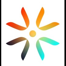 Cybersecurity Management logo