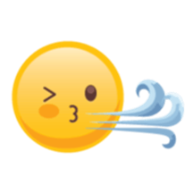 Windyflo logo